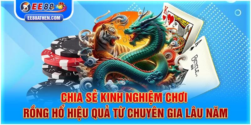 Chia sẻ kinh nghiệm chơi Rồng Hổ hiệu quả từ chuyên gia lâu năm